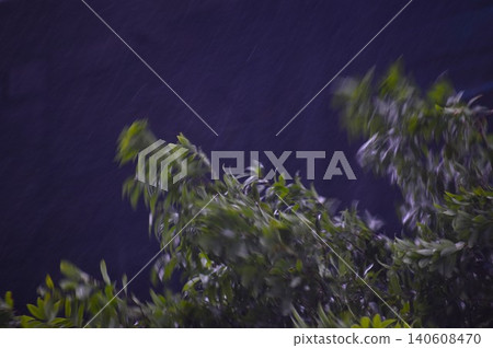 The passage of the typhoon that brought heavy rain 140608470