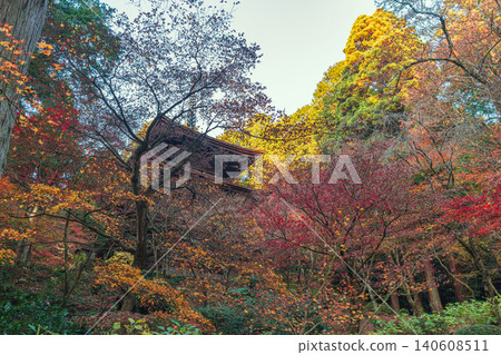 Autumn scenery of the three-story pagoda at Kongorinji Temple, one of the three temples of Kotō Sanzan in Shiga Prefecture. 140608511