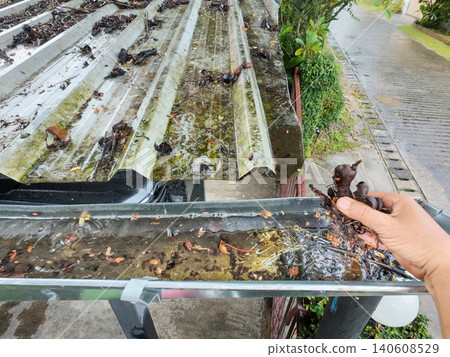 Clogged rain gutter, dirty roof gutter, with wet fallen leaves. Clogged rain gutter, dirty roof gutter, with wet fallen leaves. 140608529