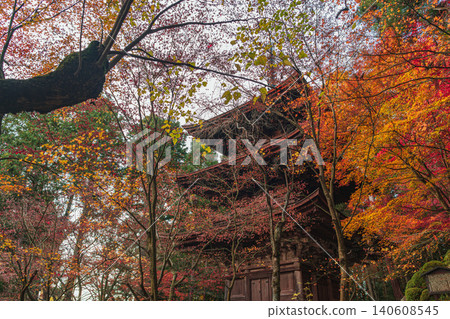 滋賀縣古東三山三寺之一的金剛林寺三重塔的秋季景色。 140608545