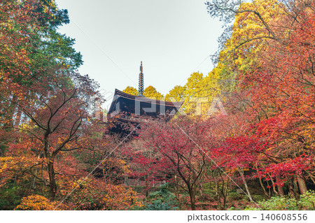 滋賀縣古東三山三寺之一的金剛林寺三重塔的秋季景色。 140608556
