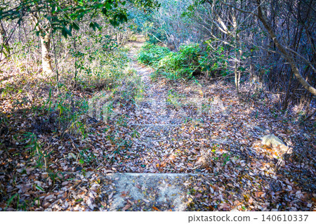 [Setonaikai National Park] Yuudachiukeyama Mountain: Scenery of the walking trail in early winter (1) - Bizen City, Okayama Prefecture 140610337