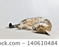 Relaxed expression of a napping cat 140610484