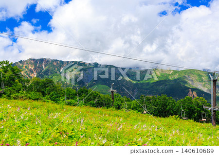 從白馬五龍高山植物園看到的夏日天空和山 從白馬五龍高山植物園看到的夏日天空和山 140610689