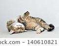 Relaxed expression of a napping cat 140610821