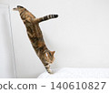 American Shorthair playing by jumping dynamically indoors 140610827