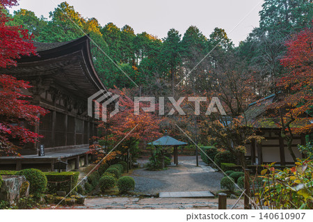 滋賀縣江東市三座寺廟之一的金剛林寺的秋景。 滋賀縣江東市三座寺廟之一的金剛林寺的秋景。 140610907