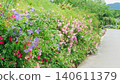 A flowerbed with a variety of colorful flowers (Rosanberry Tawada, Shiga Prefecture) 140611379