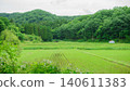 A rural landscape consisting almost entirely of green. 140611383