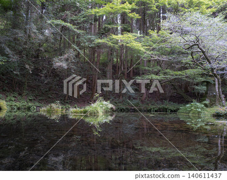 水源處的療癒空間 水源處的療癒空間 140611437