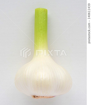 Large fresh raw garlic Large fresh raw garlic 140611439