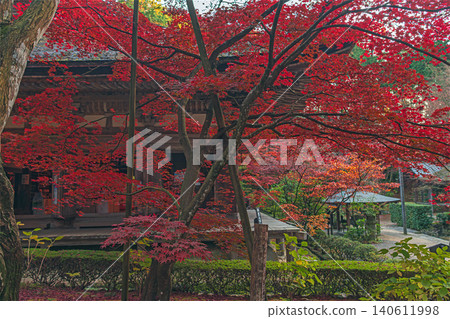 Autumn scenery at Kongorinji Temple, one of the three temples of Kotō, Shiga Prefecture. Autumn scenery at Kongorinji Temple, one of the three temples of Kotō, Shiga Prefecture. 140611998