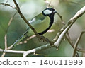 A tit perched on a branch. 140611999