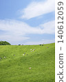 Cattle grazing in the vast pastures of Hokkaido 140612059