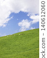 Cattle grazing in the vast pastures of Hokkaido 140612060
