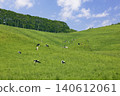 Cattle grazing in the vast pastures of Hokkaido 140612061