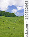 Cattle grazing in the vast pastures of Hokkaido 140612063