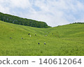 Cattle grazing in the vast pastures of Hokkaido 140612064