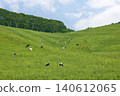 Cattle grazing in the vast pastures of Hokkaido 140612065