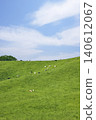 Cattle grazing in the vast pastures of Hokkaido 140612067