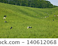Cattle grazing in the vast pastures of Hokkaido 140612068