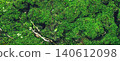 Aerial view of green forest with trees and river stream 140612098