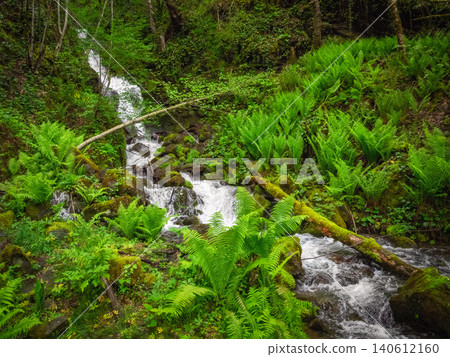 Waterfall or stream in the forest Waterfall or stream in the forest 140612160