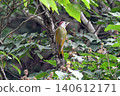 A Japanese Green Woodpecker perched on a tree branch. 140612171