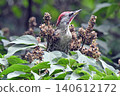 Aogera 140612172
