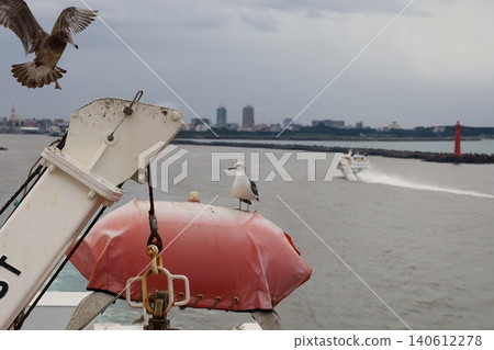 (在渡輪甲板上)一隻兇猛的海鳥、一隻黑尾鷗和一艘高速快艇 (在渡輪甲板上)一隻兇猛的海鳥、一隻黑尾鷗和一艘高速快艇 140612278