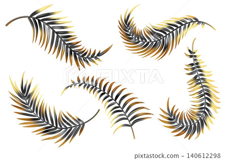 Gold and black palm leaves. Vector coconut tree branch isolated on white background. Exotic realistic foliage set. Abstract decoration for luxury invitation and presentation design. Gold and black palm leaves. Vector coconut tree branch isolated on white background. Exotic realistic foliage set. Abstract decoration for luxury invitation and presentation design. 140612298