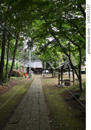 岩槻市漫步：筱岡八幡神社 - 通往神社和正殿的路。 140612337