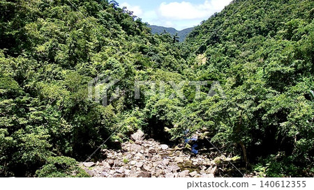 The deep primeval forest in the upper reaches of the Urauchi River, which leads to Mayagusuku Falls on Iriomote Island, Okinawa Prefecture. The deep primeval forest in the upper reaches of the Urauchi River, which leads to Mayagusuku Falls on Iriomote Island, Okinawa Prefecture. 140612355