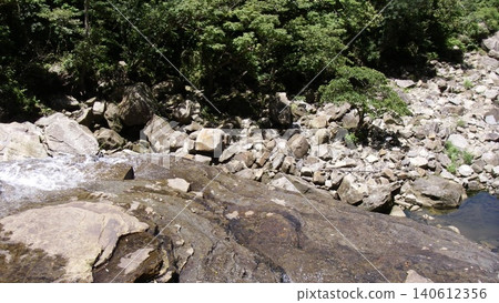 The deep primeval forest in the upper reaches of the Urauchi River, which leads to Mayagusuku Falls on Iriomote Island, Okinawa Prefecture. The deep primeval forest in the upper reaches of the Urauchi River, which leads to Mayagusuku Falls on Iriomote Island, Okinawa Prefecture. 140612356