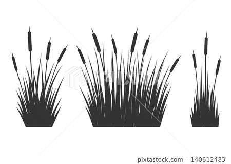 Grass reed silhouette. Vector swamp tall cattails. Water plants near river and lake isolated on white background. Bulrush high foliage flat illustrations set 140612483