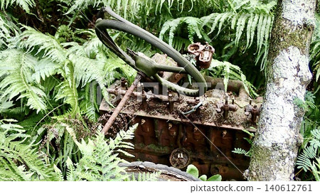 The wreckage of a military truck stands in the forest of Chichijima, Ogasawara Islands, Tokyo. The wreckage of a military truck stands in the forest of Chichijima, Ogasawara Islands, Tokyo. 140612761