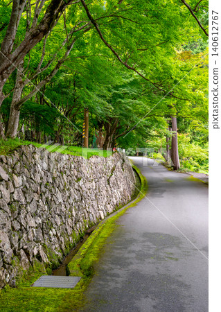 The fresh greenery of Chōanji Temple, a maple temple in Tanba, with moss-covered stone walls and green maple leaves, Fukuchiyama, Kyoto Prefecture. *Location of photo is indicated in the comments section of the work. The fresh greenery of Chōanji Temple, a maple temple in Tanba, with moss-covered stone walls and green maple leaves, Fukuchiyama, Kyoto Prefecture. *Location of photo is indicated in the comments section of the work. 140612767