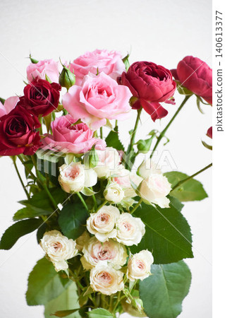 pink and red roses pink and red roses 140613377