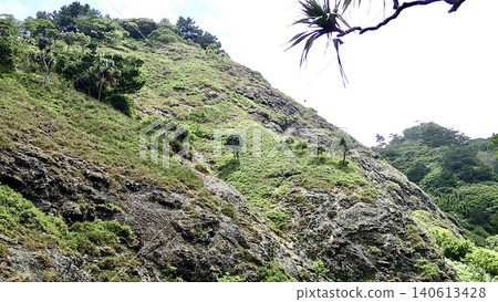 東京小笠原群島的父島上有岩石瀑布和鬱鬱蔥蔥的山谷。 東京小笠原群島的父島上有岩石瀑布和鬱鬱蔥蔥的山谷。 140613428