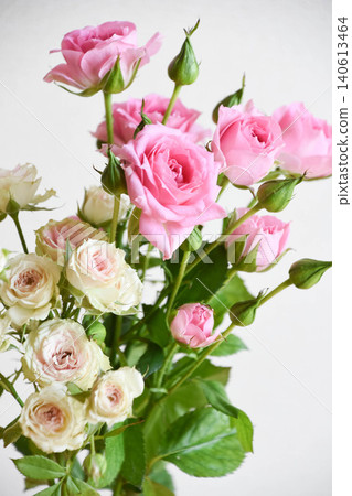 Pink rose Pink rose 140613464