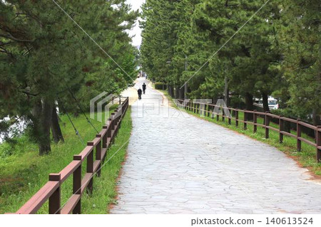 A beautiful row of pine trees and a lush green walking path that tells the history of the old Nikko Kaido road. A beautiful row of pine trees and a lush green walking path that tells the history of the old Nikko Kaido road. 140613524