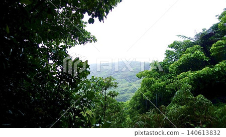 從籠罩在薄霧中的秩父山眺望東京小笠原群島母島。 從籠罩在薄霧中的秩父山眺望東京小笠原群島母島。 140613832