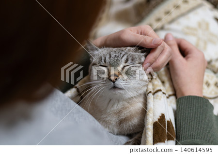 Owners touching their cute cats 140614595