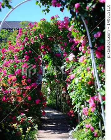 Rose Garden Rose Garden 140615110