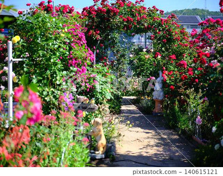 Rose Garden Rose Garden 140615121