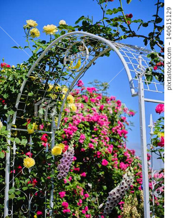 Rose Garden Rose Garden 140615129