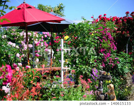 Rose Garden Rose Garden 140615133