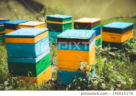 Apiary and beekeeping. Colorful wooden old beehives surrounded by vegetation. Close up Apiary and beekeeping. Colorful wooden old beehives surrounded by vegetation. Close up 140615179