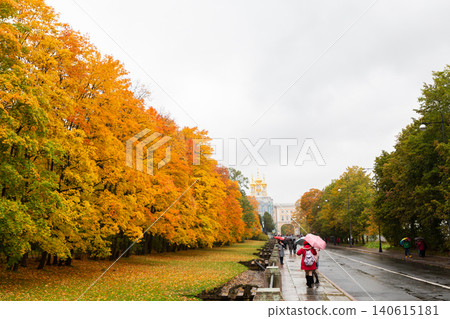 People walking on the sidewalk with umbrellas, against the background of the Avenue of autumn Park. Autumn season. Copy space People walking on the sidewalk with umbrellas, against the background of the Avenue of autumn Park. Autumn season. Copy space 140615181