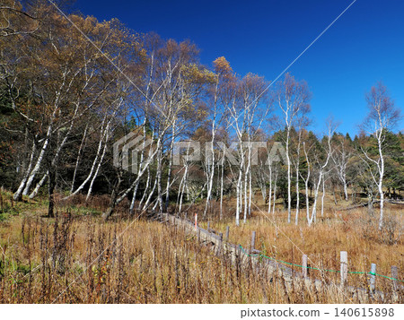 [Mountain Scenery] Nagano Prefecture - Mt. Irikasa - Irikasa Marshland in Late Autumn 140615898